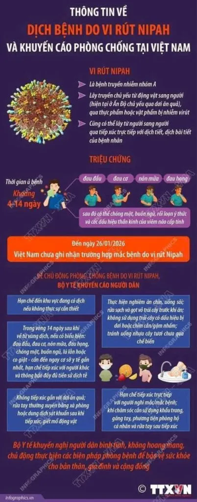 THÔNG TIN VỀ DỊCH BỆNH DO VI RÚT NIPAH VÀ KHUYẾN CÁO PHÒNG CHỐNG TẠI VIỆT NAM