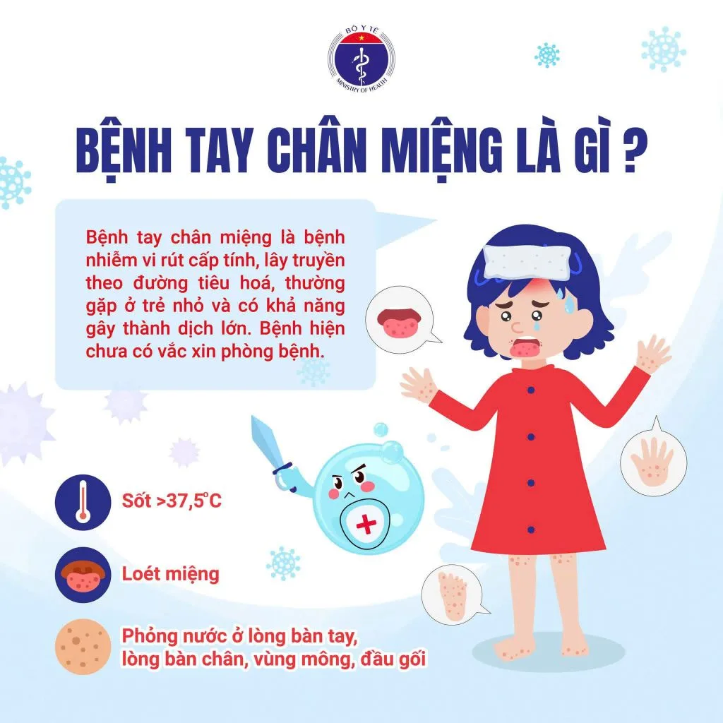 TRUYỀN THÔNG BỆNH TAY CHÂN MIỆNG